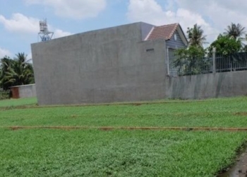 Chỉ được tách thửa đất đã có sổ đỏ?