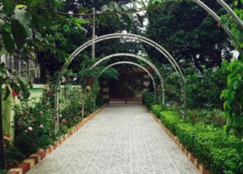 Khu vườn hơn 600m2 rực rỡ sắc hoa của cô giáo dạy Toán