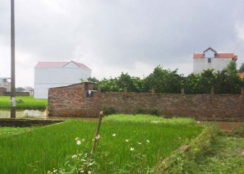 Đất nông nghiệp do địa phương quản lý có thuộc đất công ích?